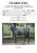 Vacaros-09w