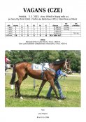 Vagans-03w