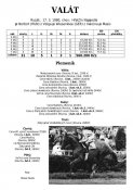 Valat-80w