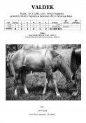 Valdek-80w