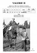 Valerie_ii-66w