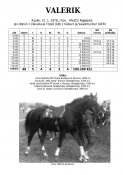 Valerik-78w