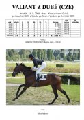 Valiant_z_dube-08w
