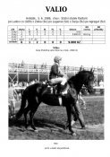 Valio-86w