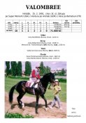 Valombree-91w