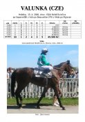 Valunka-00w