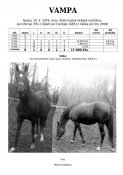 Vampa-79w
