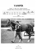 Vampir-91w