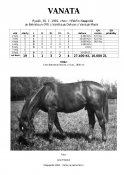 Vanata-81w