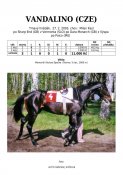 Vandalino-03w