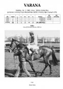Varana-82w