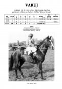 Varuj-84w