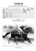 Vasco-86-agytroszt-w