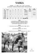 Vaska-87w