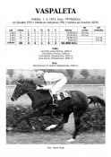 Vaspaleta-73-w