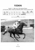 Vedos-86w