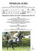 Venillia-13w
