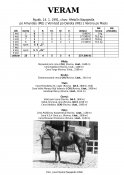 Veram-91-am-w