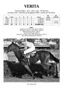 Verita-71-w