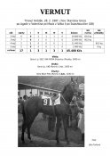 Vermut-87-agadir-w
