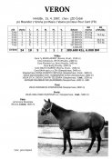 Veron-87w