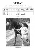 Veryan-87w