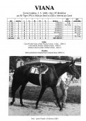 Viana-85-at-w