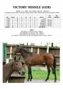 Victory_missile_ger-2009w