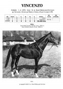 Vincenzo-79w