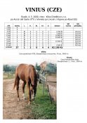 Vinius-00-ads-w