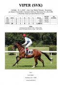 Viper-svk-07w