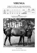 Virunga-78w