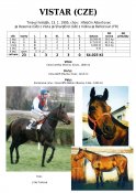 Vistar-95w