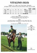 Vitalino-slo-99w