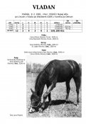 Vladan-81w