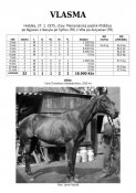 Vlasma-75w