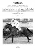 Vlocka-81w