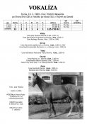 Vokaliza-89w