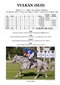 Vulkan-slo-00w