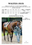 Walexia-slo-03w