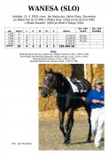 Wanesa-slo-00w