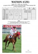 Watson-06w