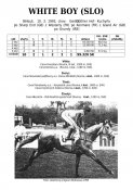 White-boy-slo-93w