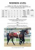 Widmon-95-dm