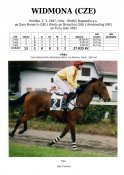 Widmona-97-dm