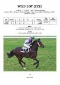 Wild_boy-16w