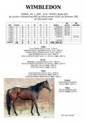 Wimbledon-87w