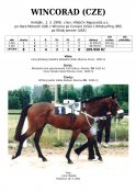 Wincorad-99-dm