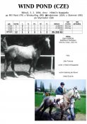 Wind-pond-94w