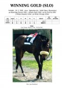 Winning-gold-slo-03w